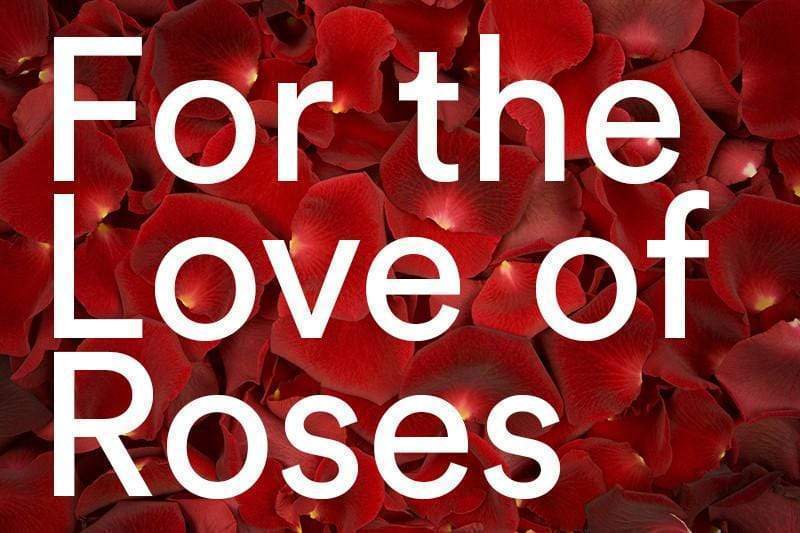 For the Love of Roses - Camille Beckman