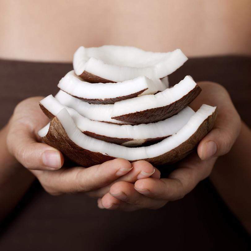 The Compelling Characteristics of Coconut Oil & How it Can Heal You