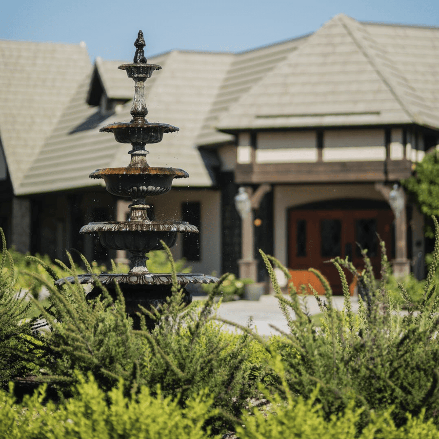 Team Favorites; The Camille Beckman family shares their favorite products and home remedies - Camille Beckman