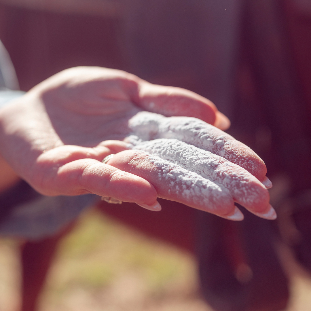 Perfumed Body Powder 4oz Coconut Clouds