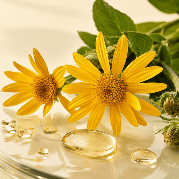 ARNICA MONTANA FLOWER EXTRACT