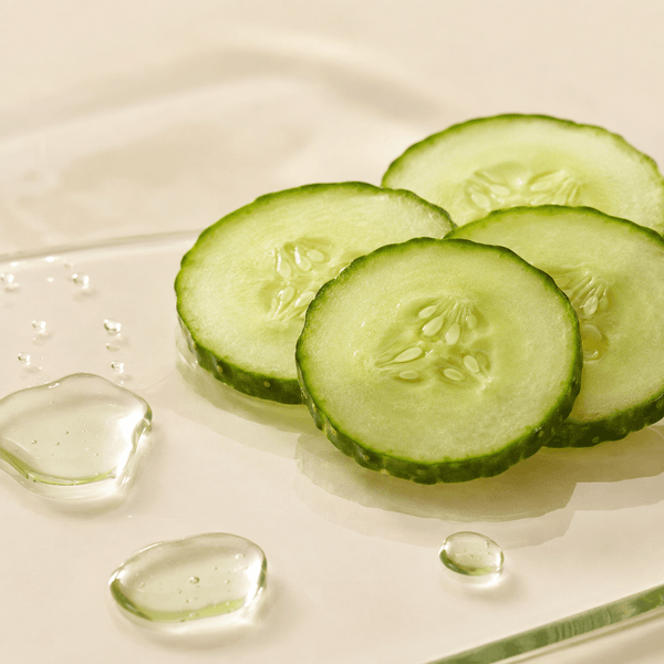 CUCUMBER EXTRACT