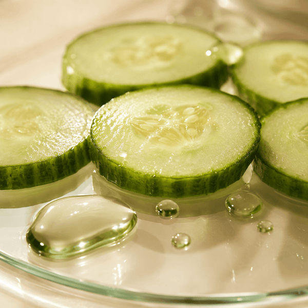 CUCUMBER FRUIT EXTRACT