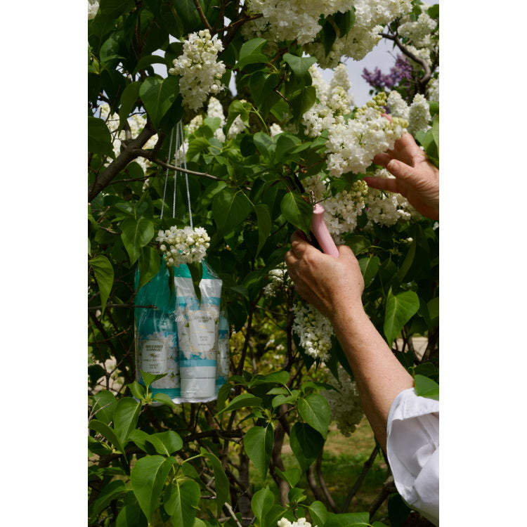 Value Bundle - White Lilac