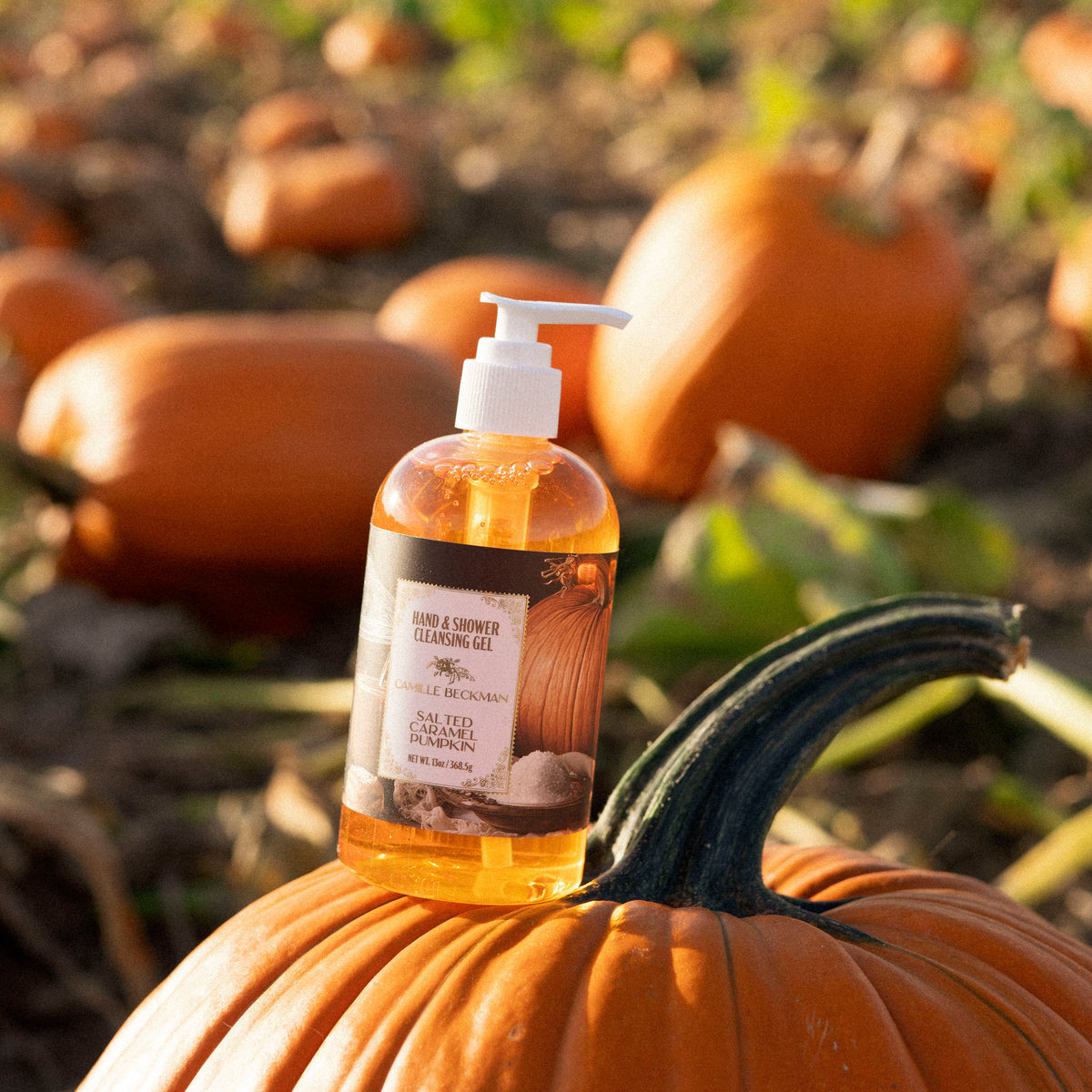 Hand & Shower Cleansing Gel 13oz Salted Caramel Pumpkin