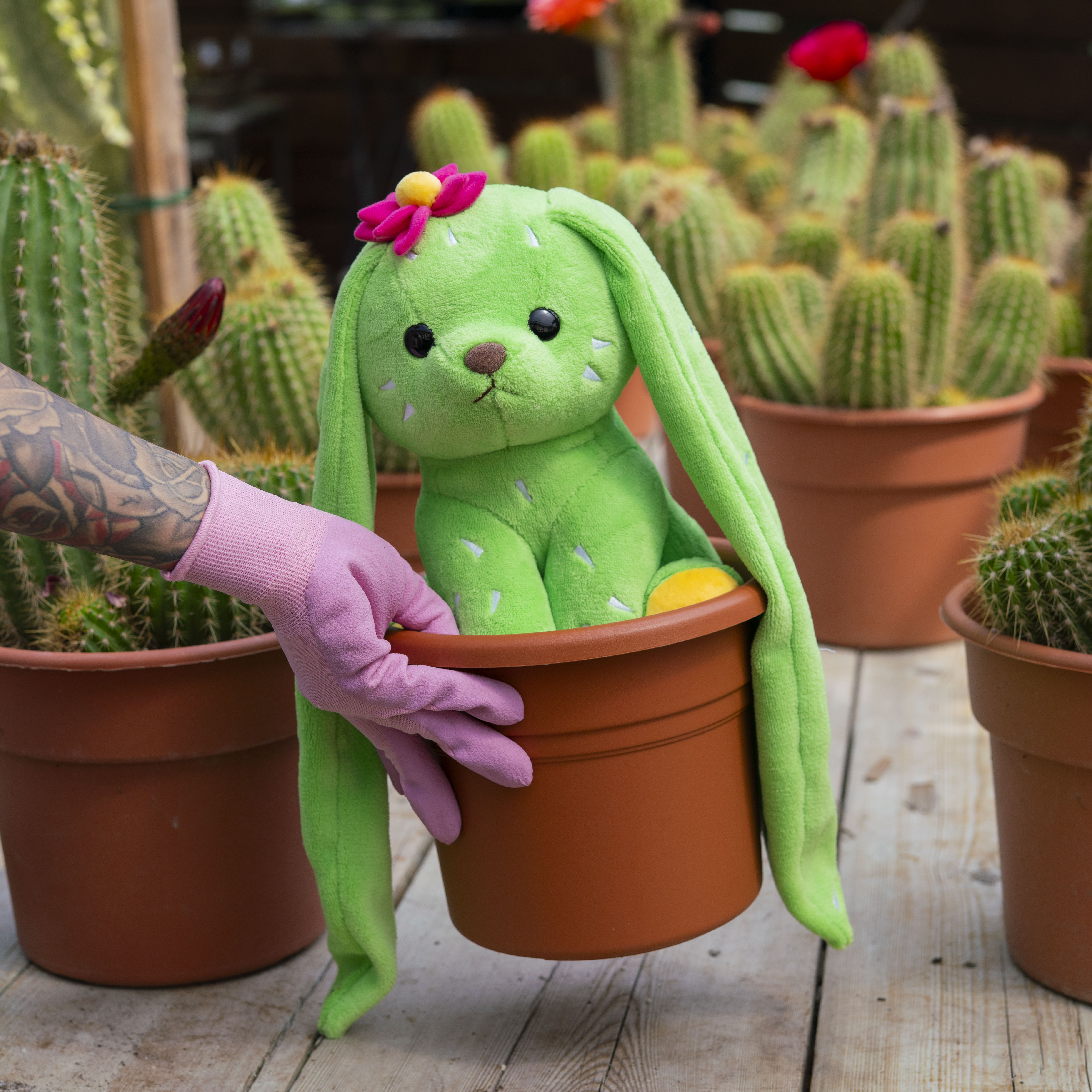 Bunny Pup - Prickle