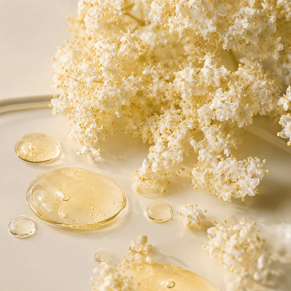 ELDER FLOWER EXTRACT