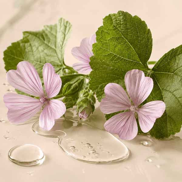MALLOW EXTRACT