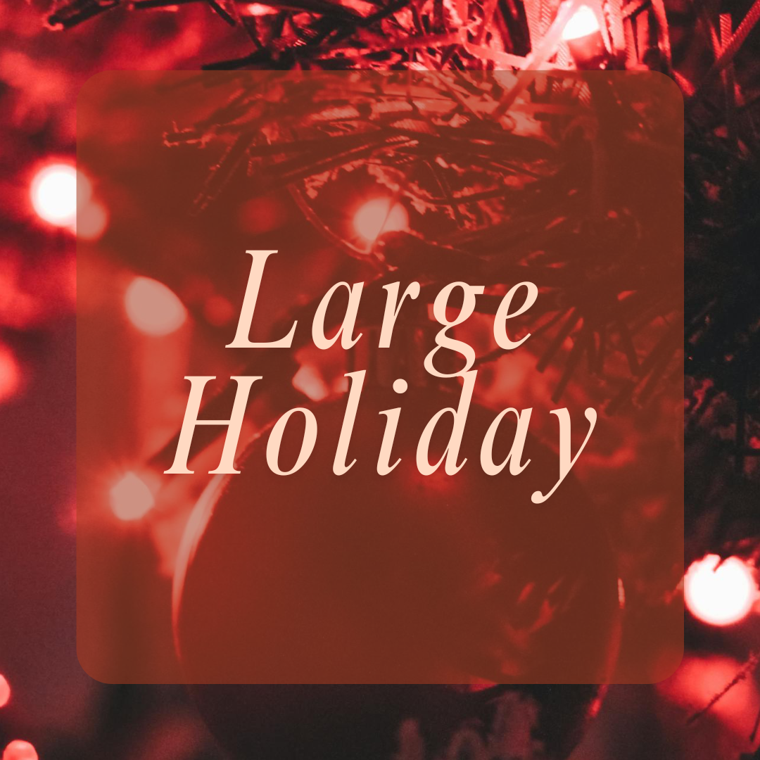 Large Holiday Mystery Bag