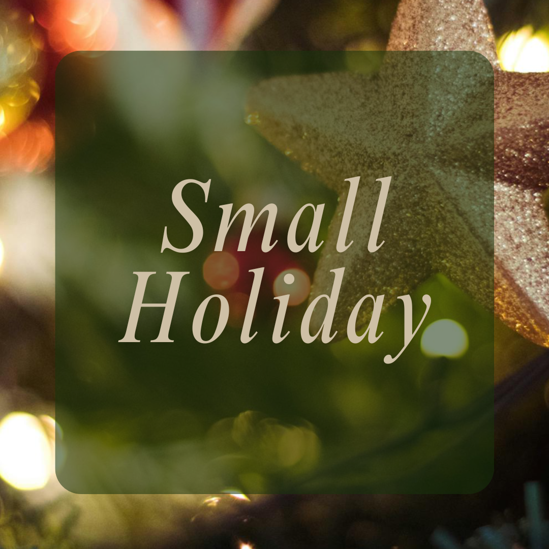 Small Holiday Mystery Bag