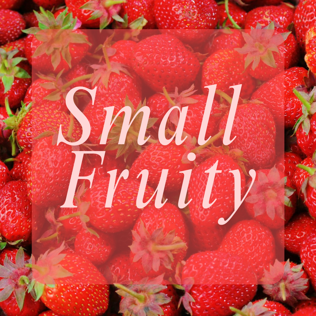 Small Fruity Mystery Bag
